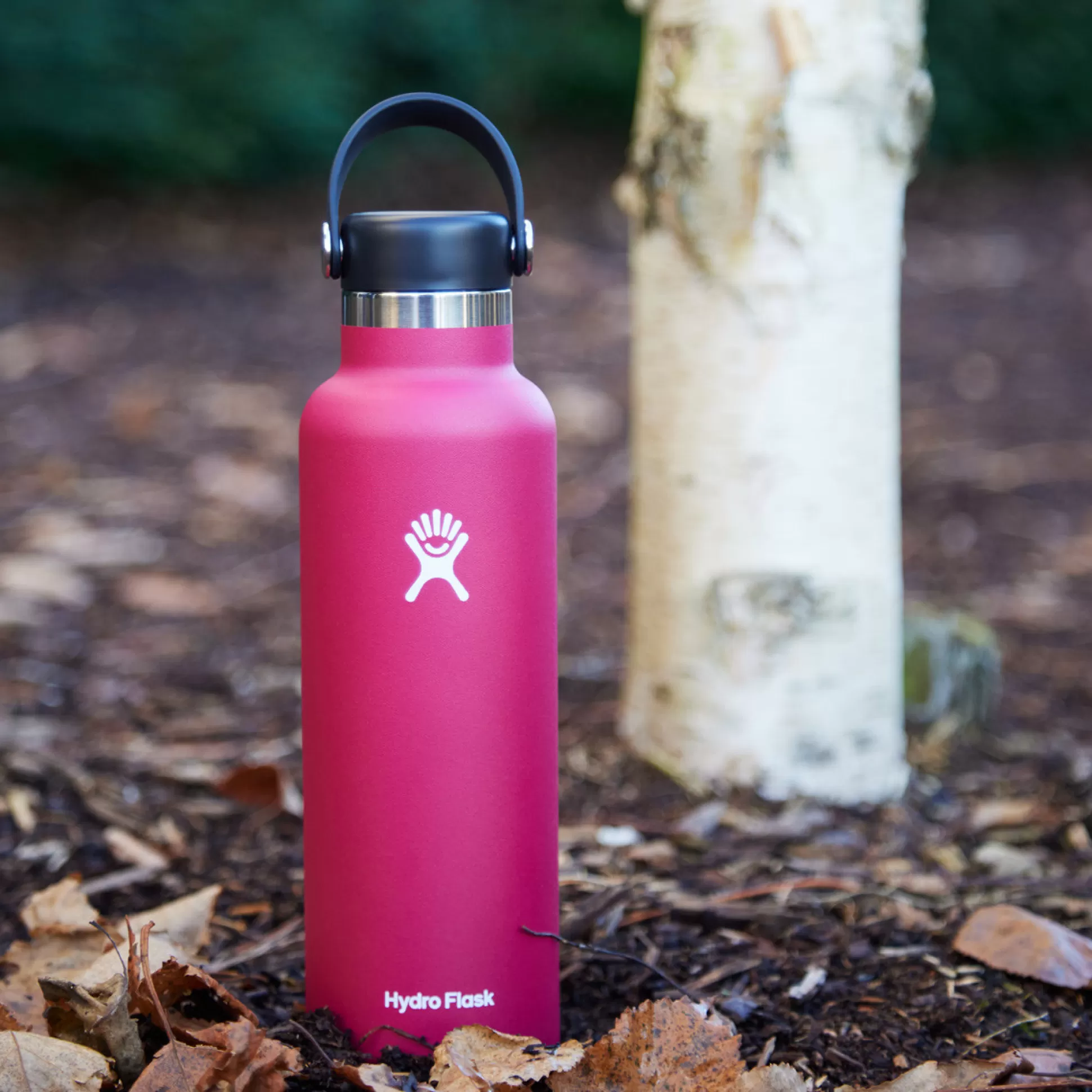 Travel Flasks & Picnic>Meadows and Byrne Hydro Flask 21 Oz Standard Mouth Flex Cap Water Bottle - Snapper