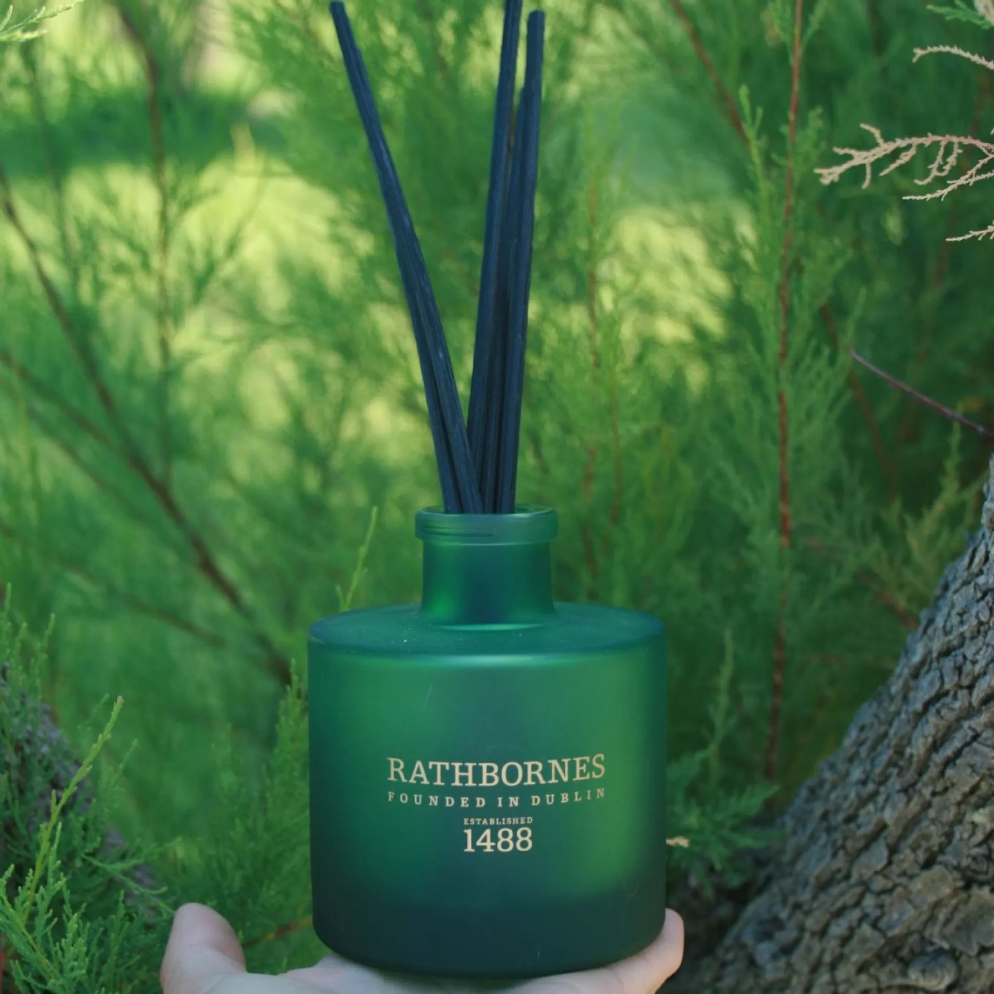 Candles & Diffusers>Meadows and Byrne Rathbornes Dublin Retreat Musk, Black Ebony & Amber Scented Reed Diffuser